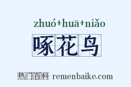 啄花鸟是什么意思的图片